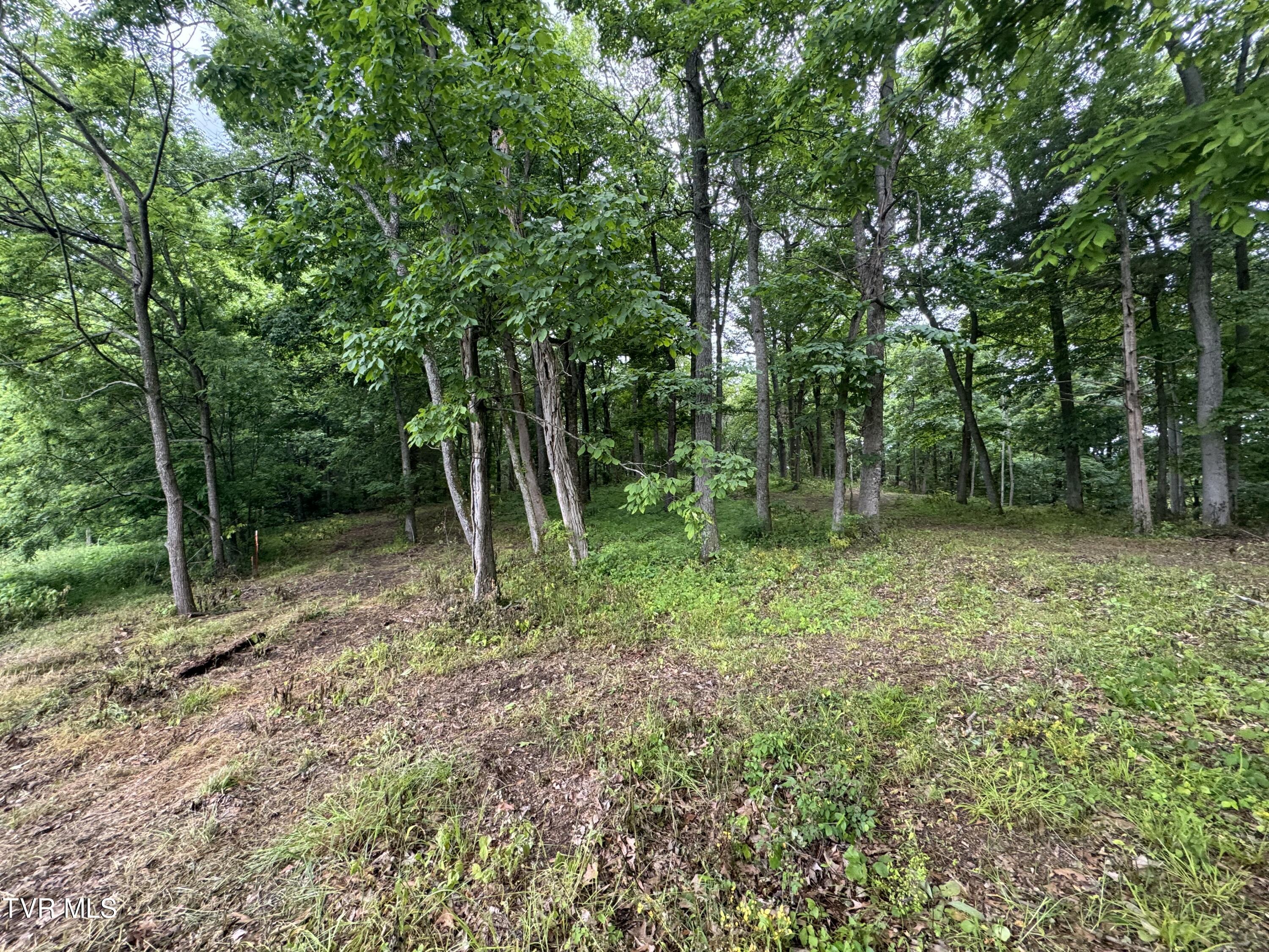 Tbd Glendale Road, Unit 3 Limestone, TN 37681 - Photo 32 of 41 IMG_5811