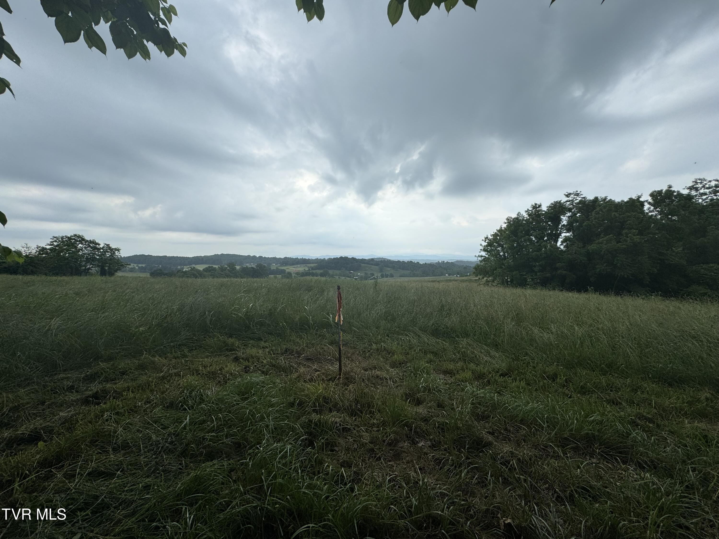 Tbd Glendale Road, Unit 3 Limestone, TN 37681 - Photo 10 of 41 IMG_5838