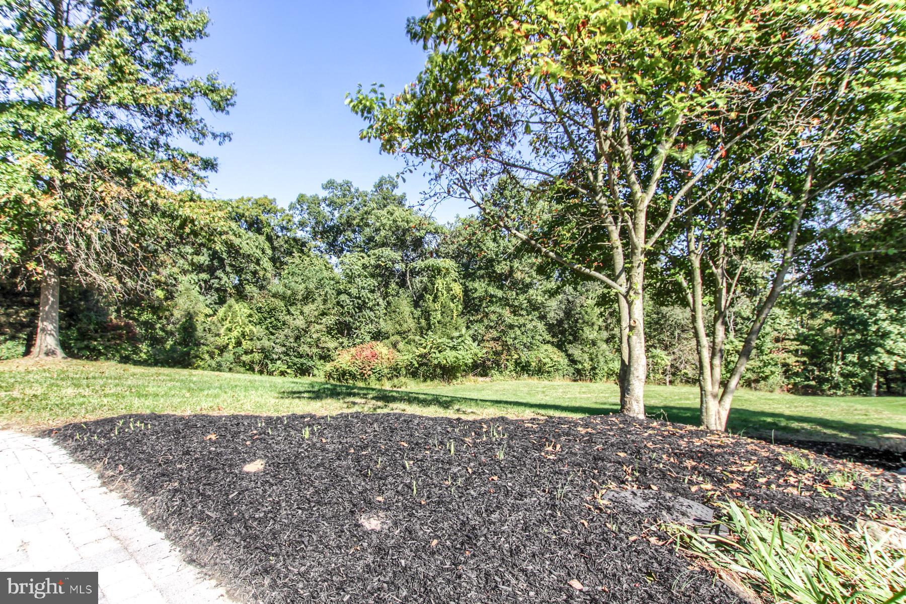 11 Blacksnake Road Duncannon, PA 17020 - Photo 135 of 148 Gallery Image 135