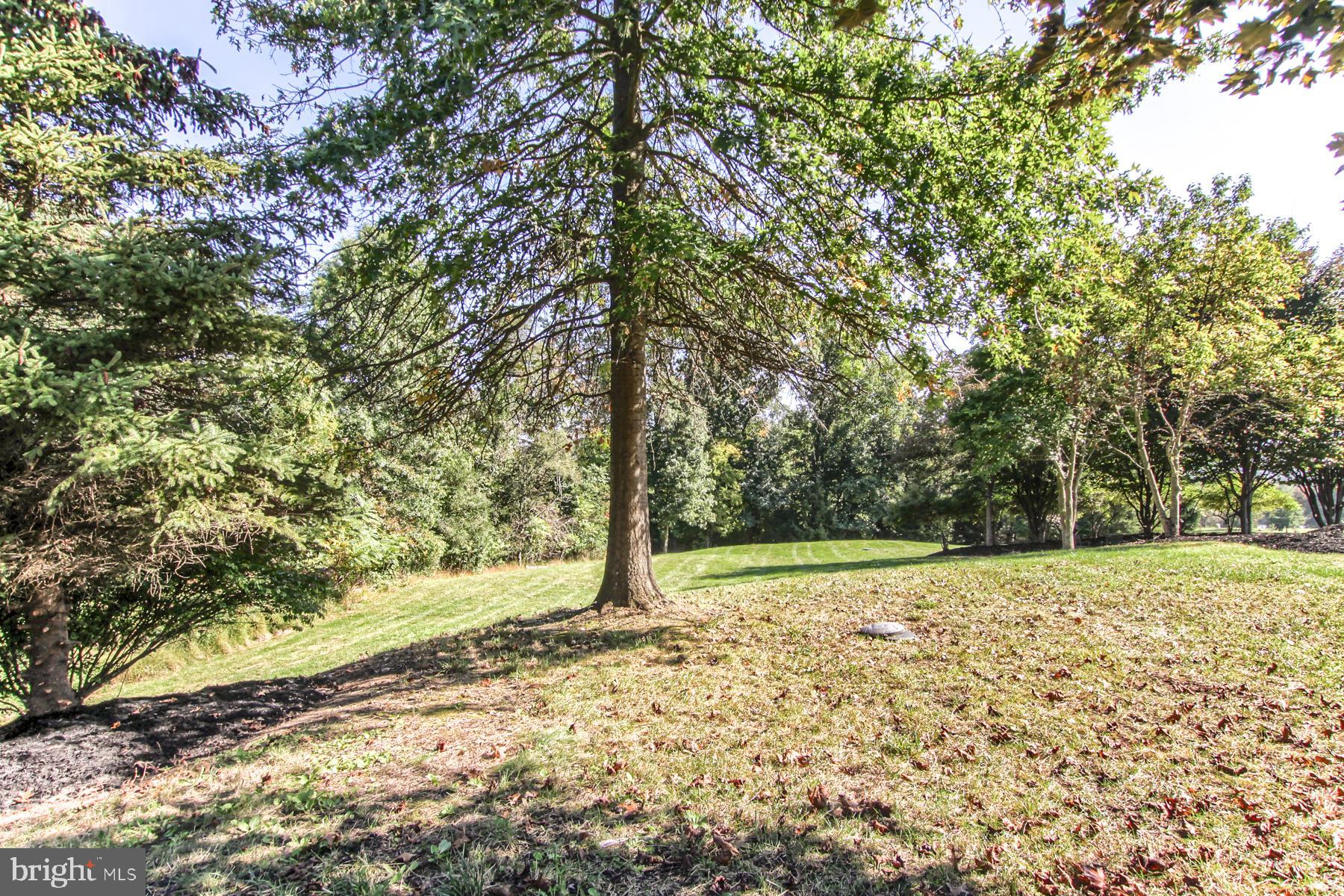 11 Blacksnake Road Duncannon, PA 17020 - Photo 139 of 148 Gallery Image 139