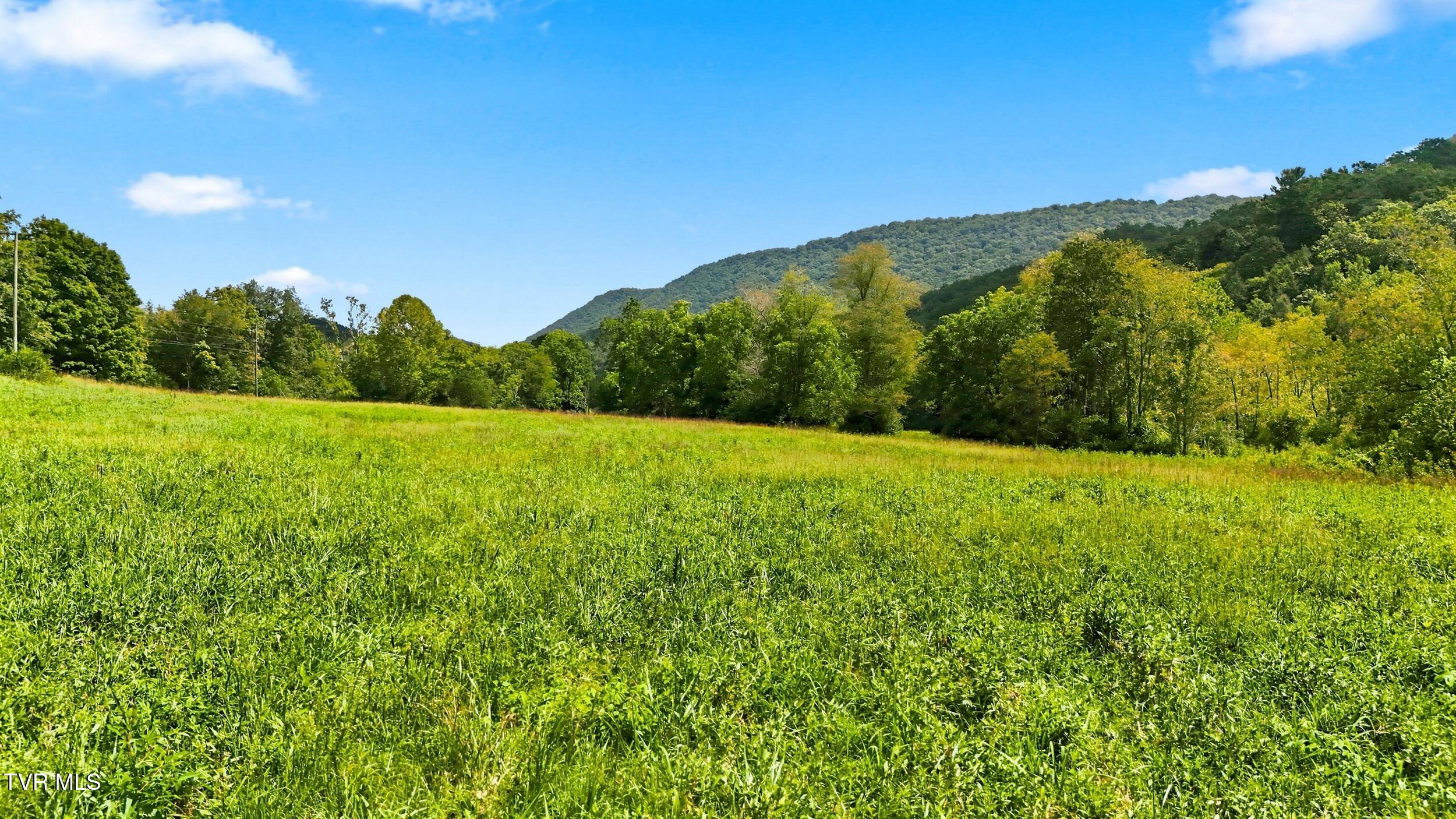 27301 Poor Valley Road Saltville, VA 24370 - Photo 20 of 42 *