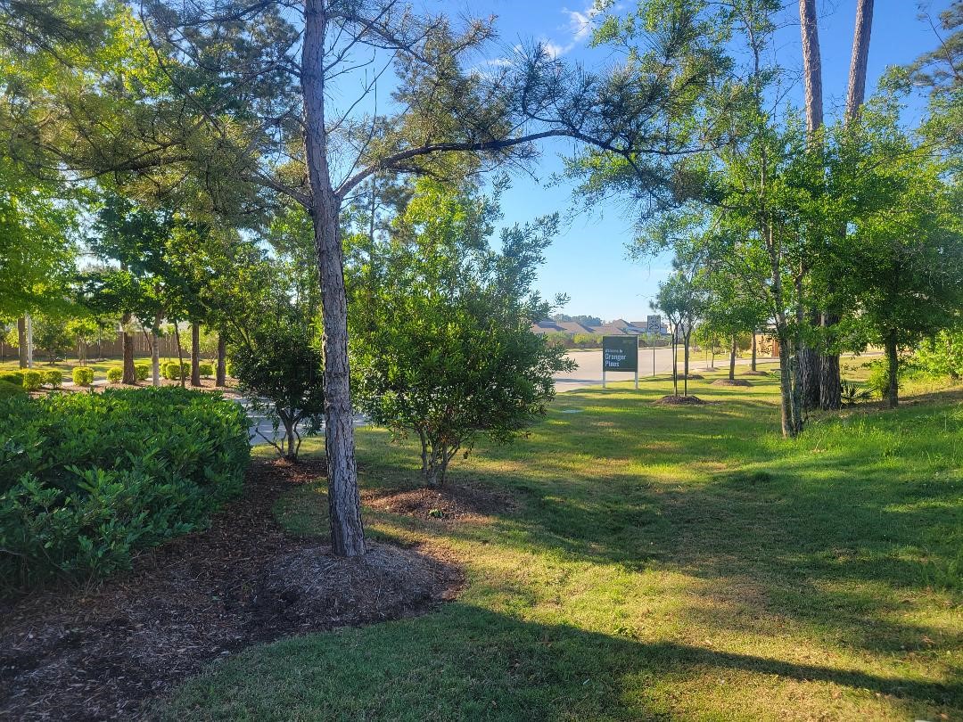 16843 Bristle Cone Way Conroe, TX 77302 - Photo 32 of 40