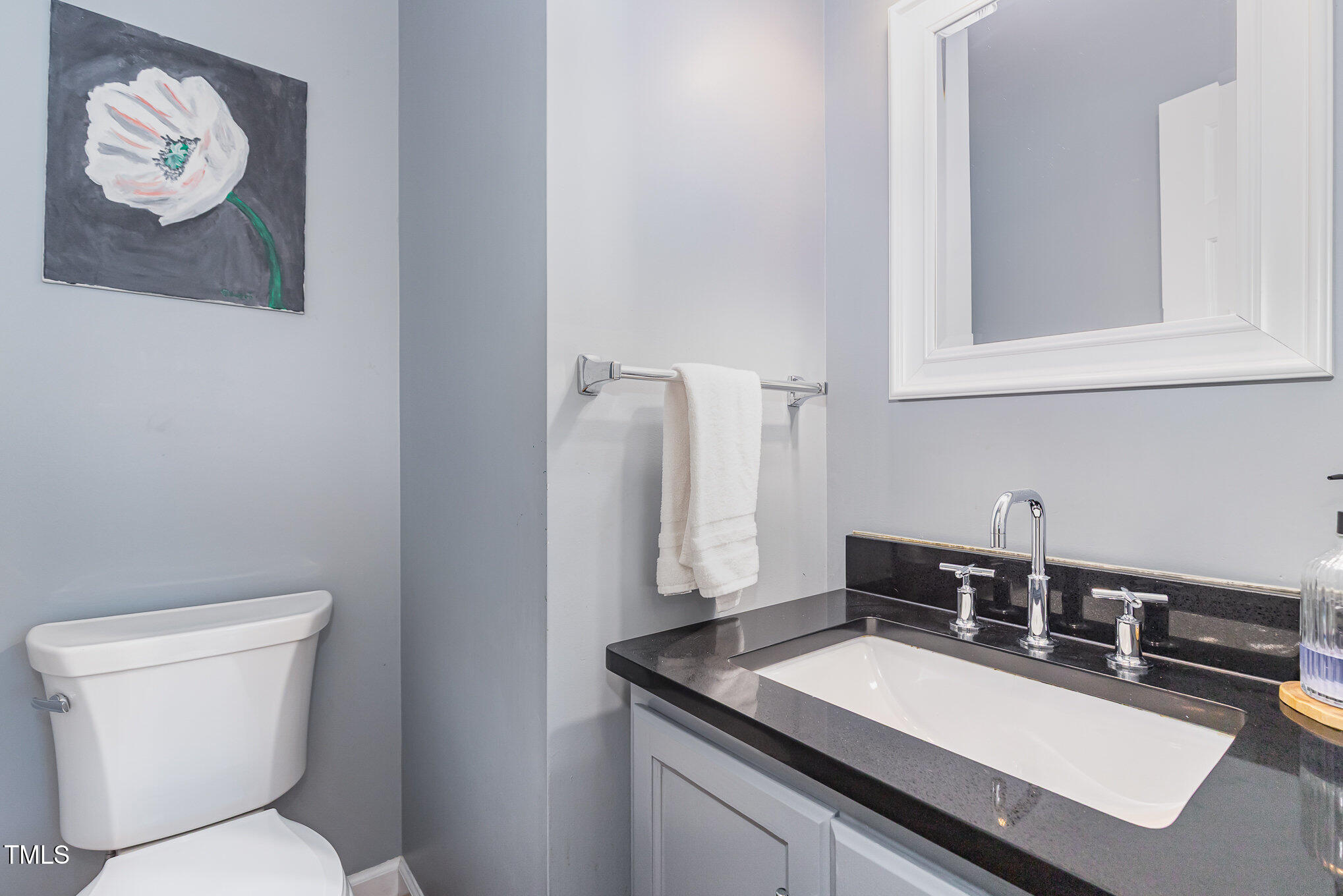 255 Morris Road Pittsboro, NC 27312 - Photo 24 of 40 a bathroom with a sink vanity and toilet