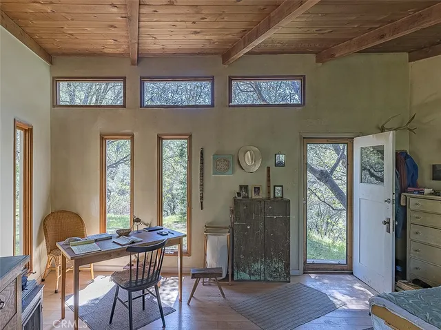 a backyard of a house with plants and large trees