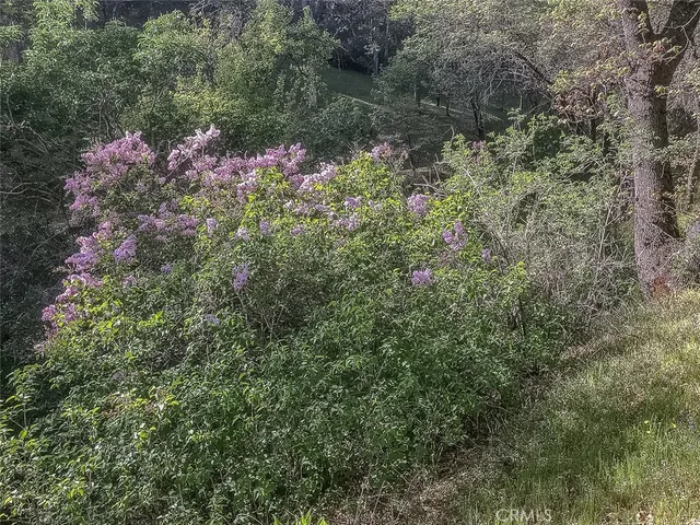 a bathroom with a sink a mirror and a shower