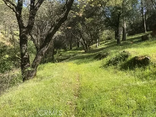 a view of a yard with a tree