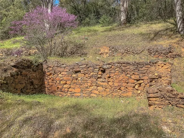 a view of a yard with plants and wooden fence