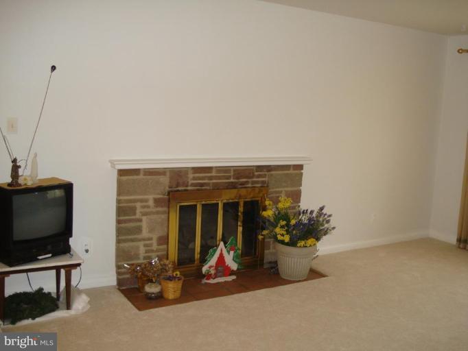 11703 Caplinger Road Silver Spring, MD 20904 - Photo 8 of 17 Fireplace