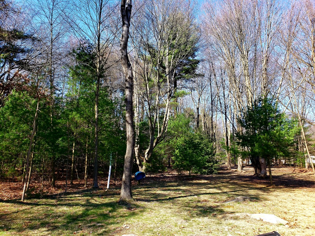 1301 Moon Run Road Tionesta, PA 16353 - Photo 24 of 24