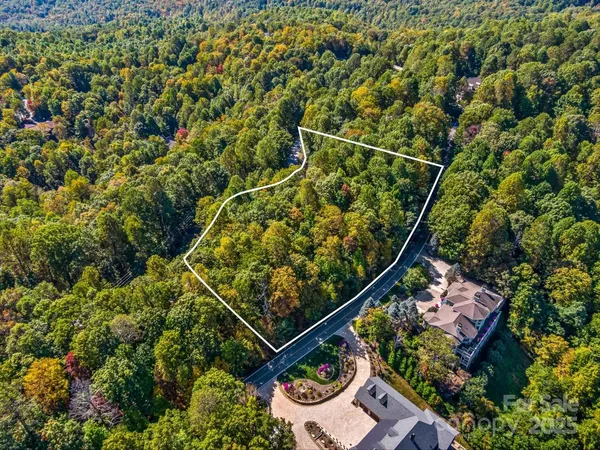 a view of a mountain range with lush green forest