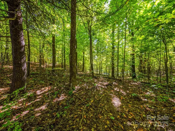 $225,000 | Lot 10 Berry Creek Dr Flat, Flat Rock, NC 28731