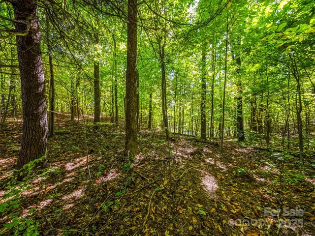 $225,000 | Lot 10 Berry Creek Dr Flat, Flat Rock, NC 28731