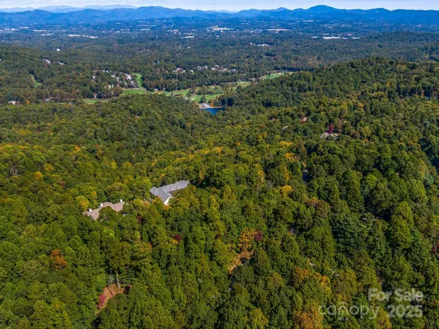 a view of a lush green field with lots of bushes