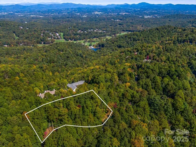 a view of a tree with a yard