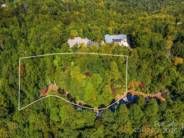 a view of a city with lush green forest