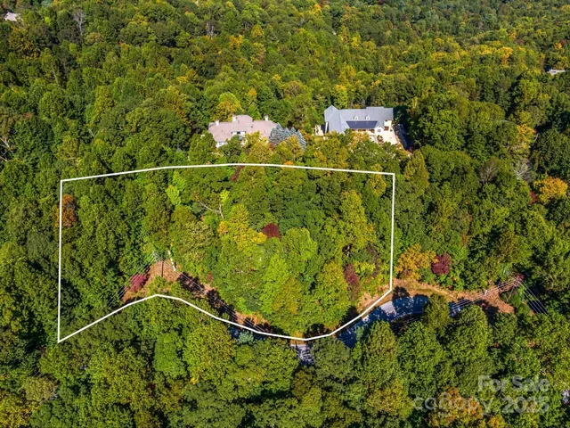 a view of a city with lush green forest