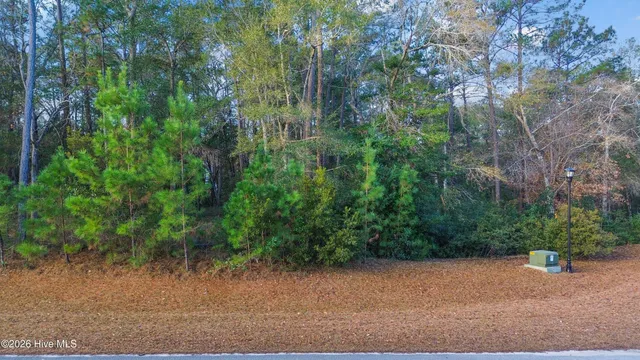 $100,000 | 3374 Portside Drive Southwest, Supply, NC 28462