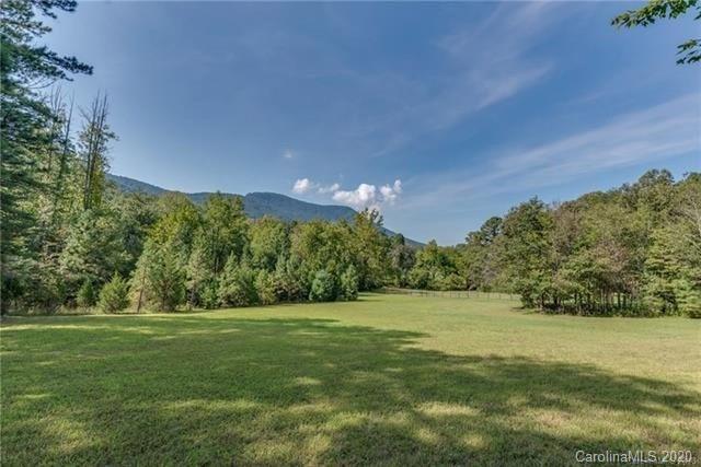 2249 Silver Creek Road Mill Spring, NC 28756 - Photo 3 of 19