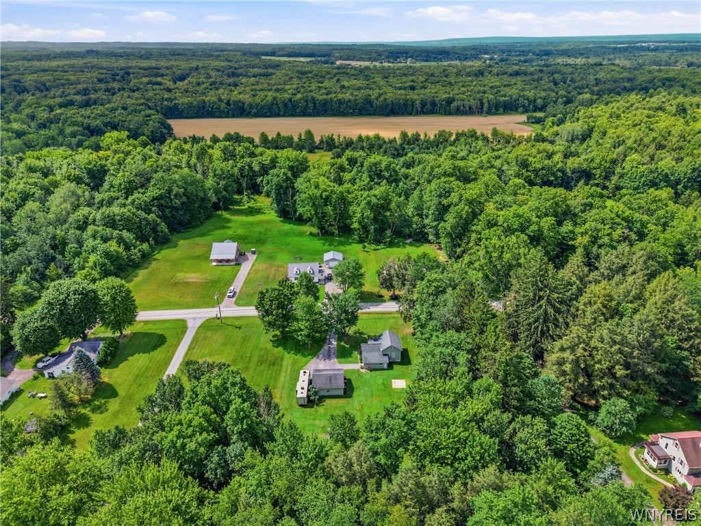 2292 New Jerusalem Road Eden, NY 14057 - Photo 29 of 31