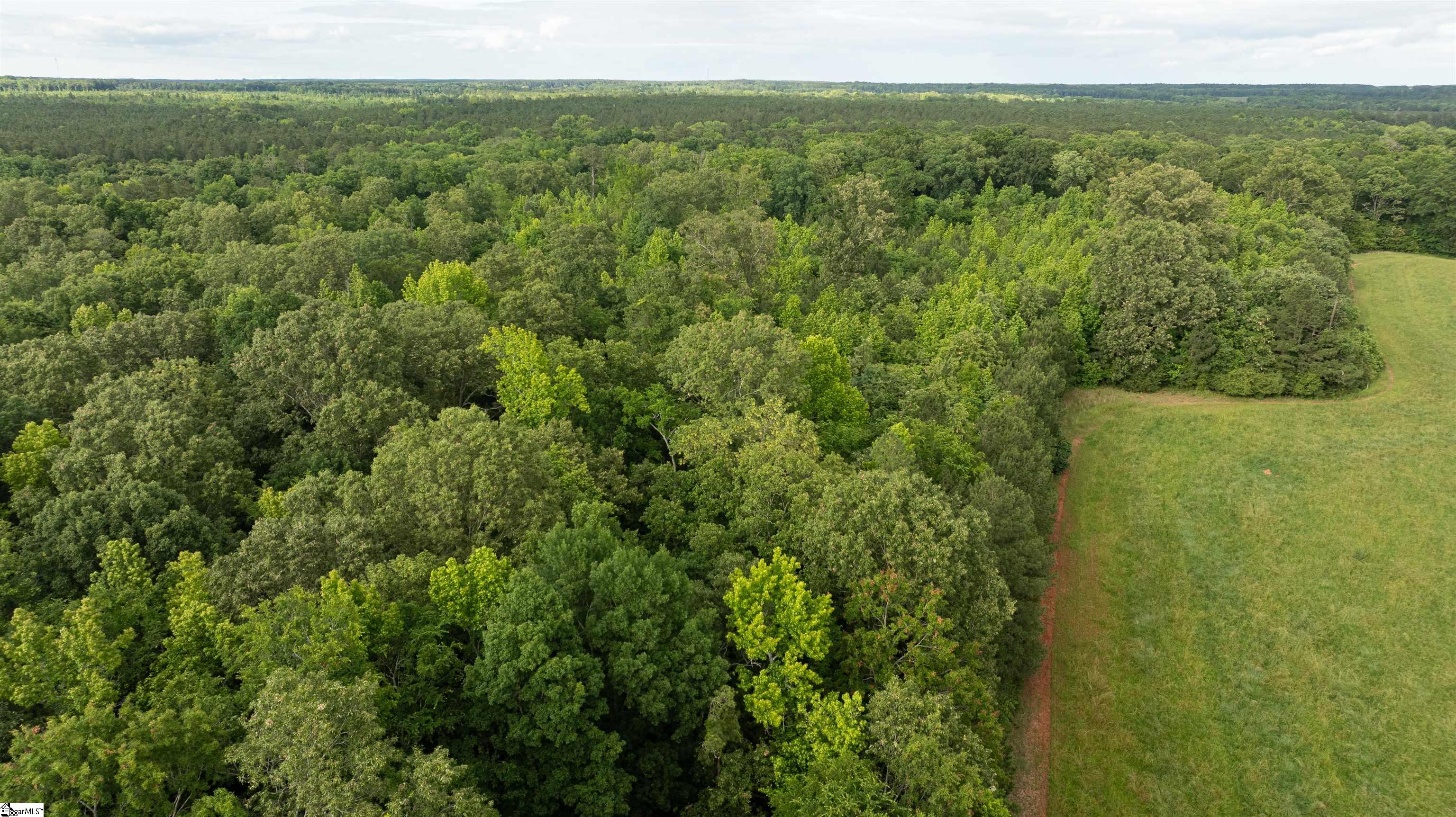 36 Hobby Lane Kinards, SC 29355 - Photo 13 of 14 Gallery Image 13