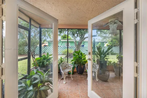 a potted plant sitting in front of a window