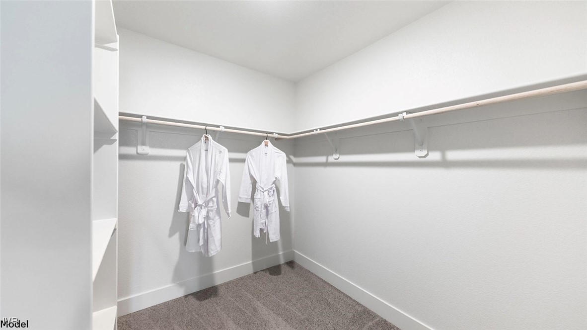 5861 Morgan Horse Street Reno, NV 89523 - Photo 10 of 15 a view of walk in closet with clothes