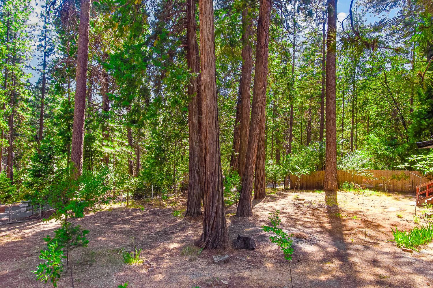 6148 Red Robin Road Placerville, CA 95667 - Photo 24 of 34