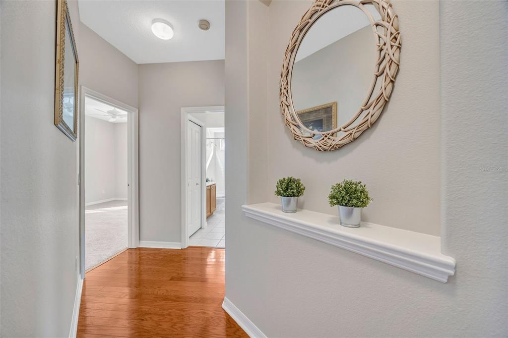 5802 Peach Heather Trail Valrico, FL 33596 - Photo 33 of 52