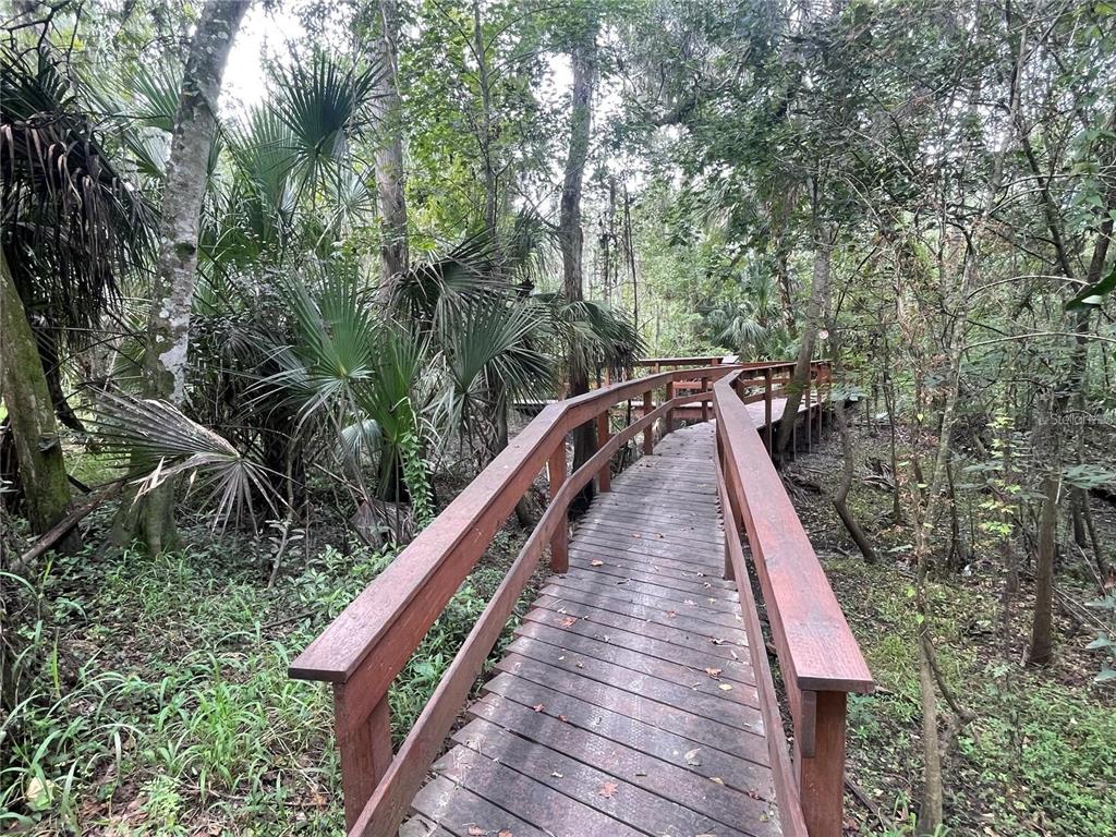 5802 Peach Heather Trail Valrico, FL 33596 - Photo 49 of 52