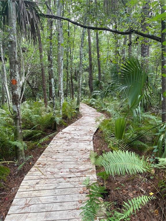 5802 Peach Heather Trail Valrico, FL 33596 - Photo 50 of 52