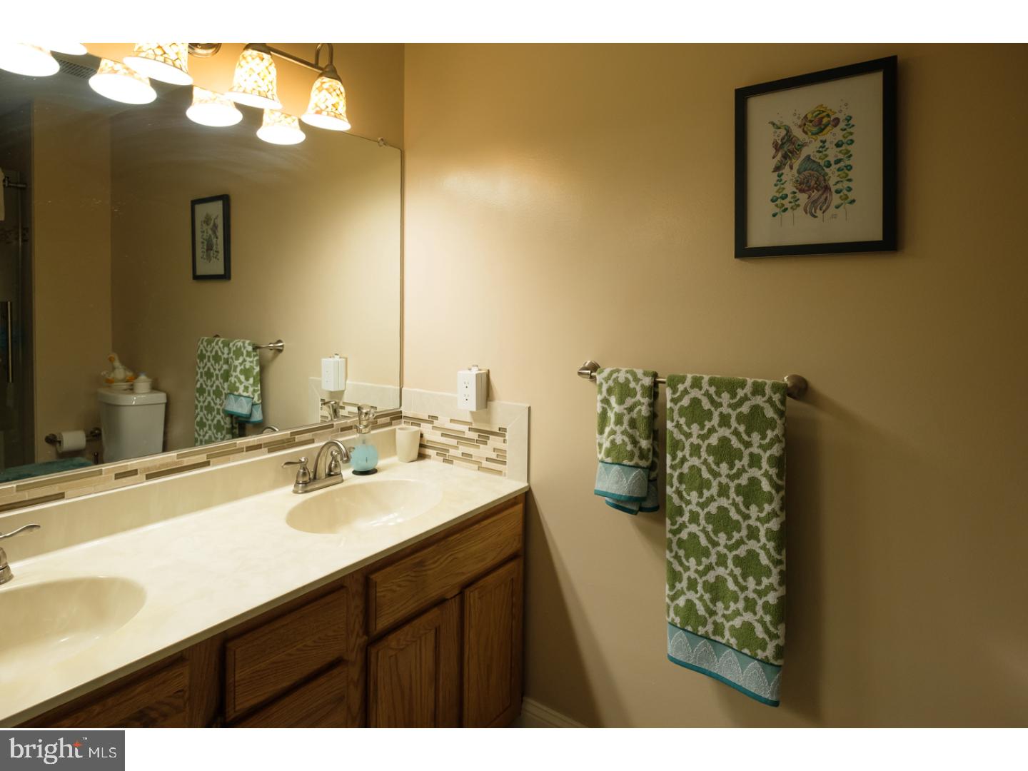 3142 William Road Garnet Valley, PA 19060 - Photo 17 of 25 Master Bathroom