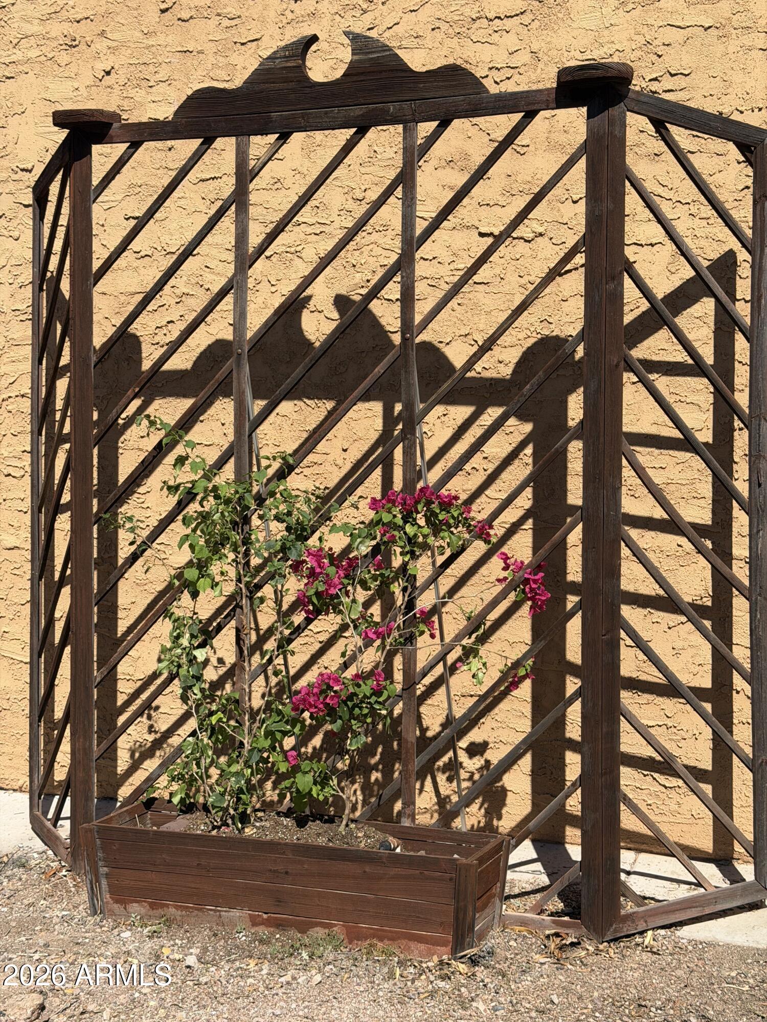 1315 North Arroya Road Apache Junction, AZ 85119 - Photo 19 of 24 a tree lined with flowers