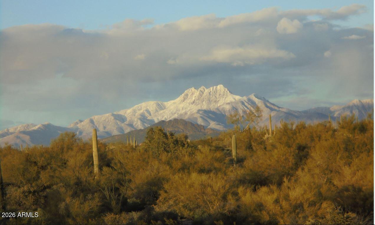 1315 North Arroya Road Apache Junction, AZ 85119 - Photo 22 of 24 a view of a dry yard