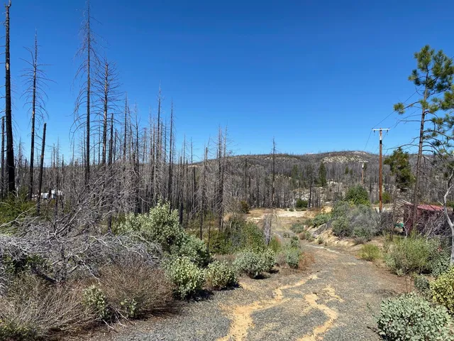 $250,000 | 1465 Bald Rock Road, Berry Creek, CA 95916