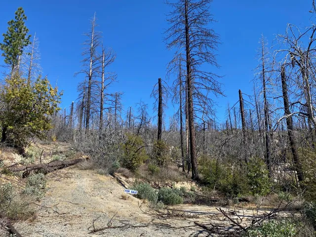 $250,000 | 1465 Bald Rock Road, Berry Creek, CA 95916