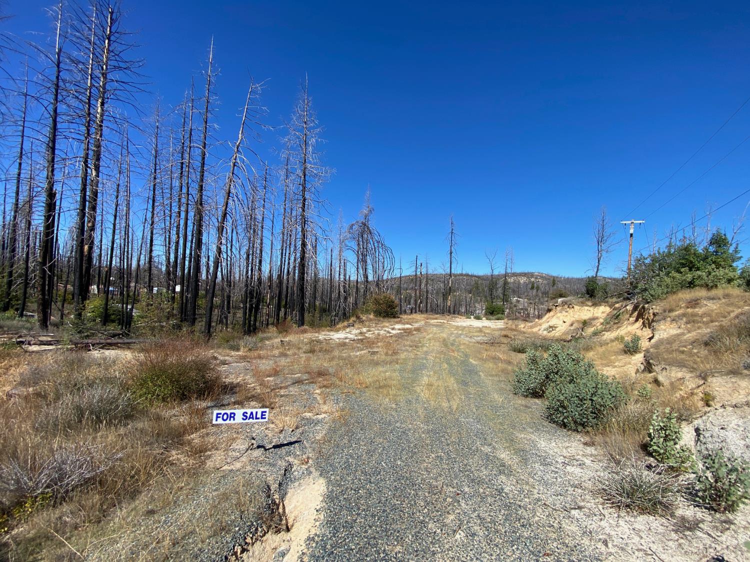 1465 Bald Rock Road Berry Creek, CA 95916 - Photo 2 of 11 The back portion of the access road into the former building site. Look at those views...miles of stunning mountain views!