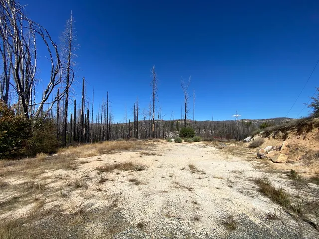 $250,000 | 1465 Bald Rock Road, Berry Creek, CA 95916