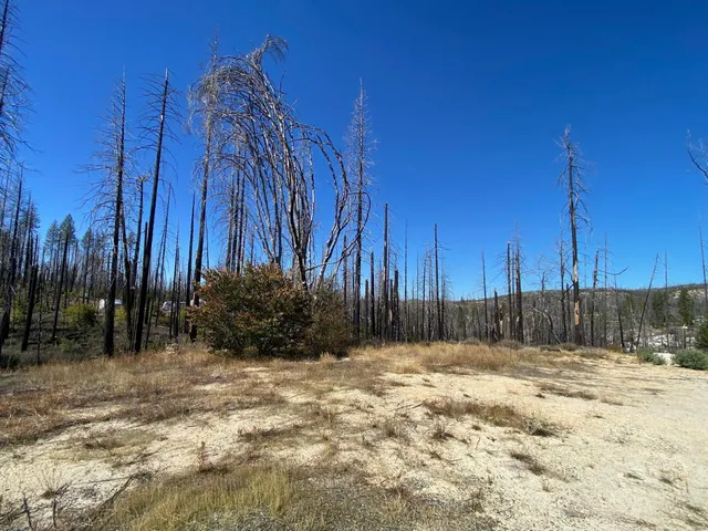 $250,000 | 1465 Bald Rock Road, Berry Creek, CA 95916