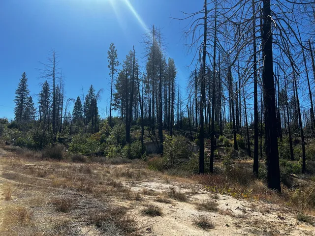 $250,000 | 1465 Bald Rock Road, Berry Creek, CA 95916