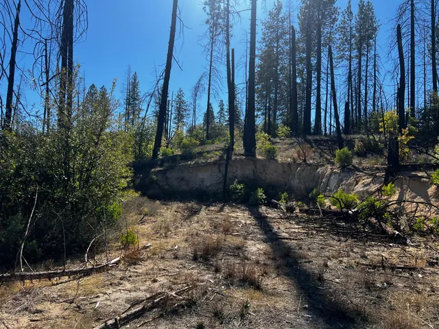 $250,000 | 1465 Bald Rock Road, Berry Creek, CA 95916