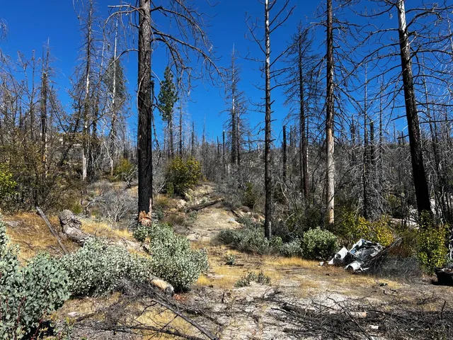 $250,000 | 1465 Bald Rock Road, Berry Creek, CA 95916