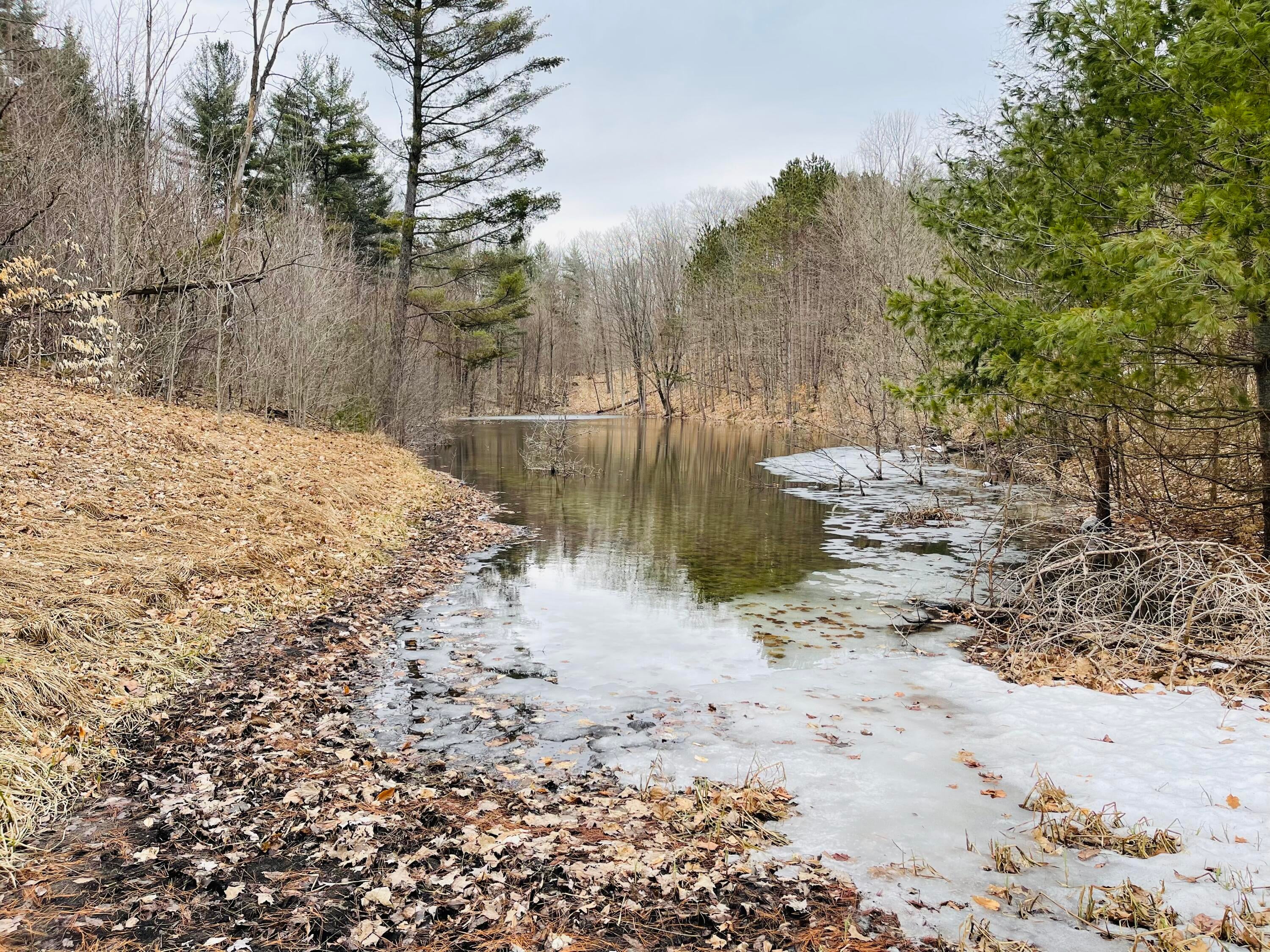 9577 Darragh Road Mancelona, MI 49659 - Photo 22 of 27 Gallery Image 22