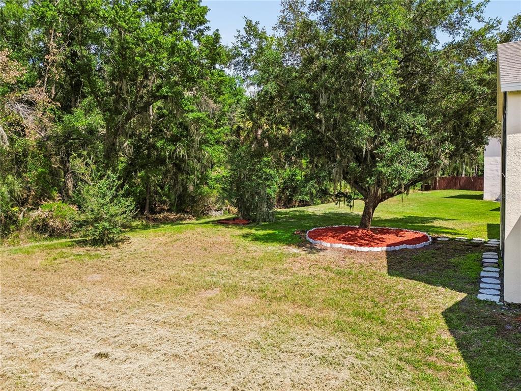 16936 Falconridge Road Lithia, FL 33547 - Photo 78 of 87