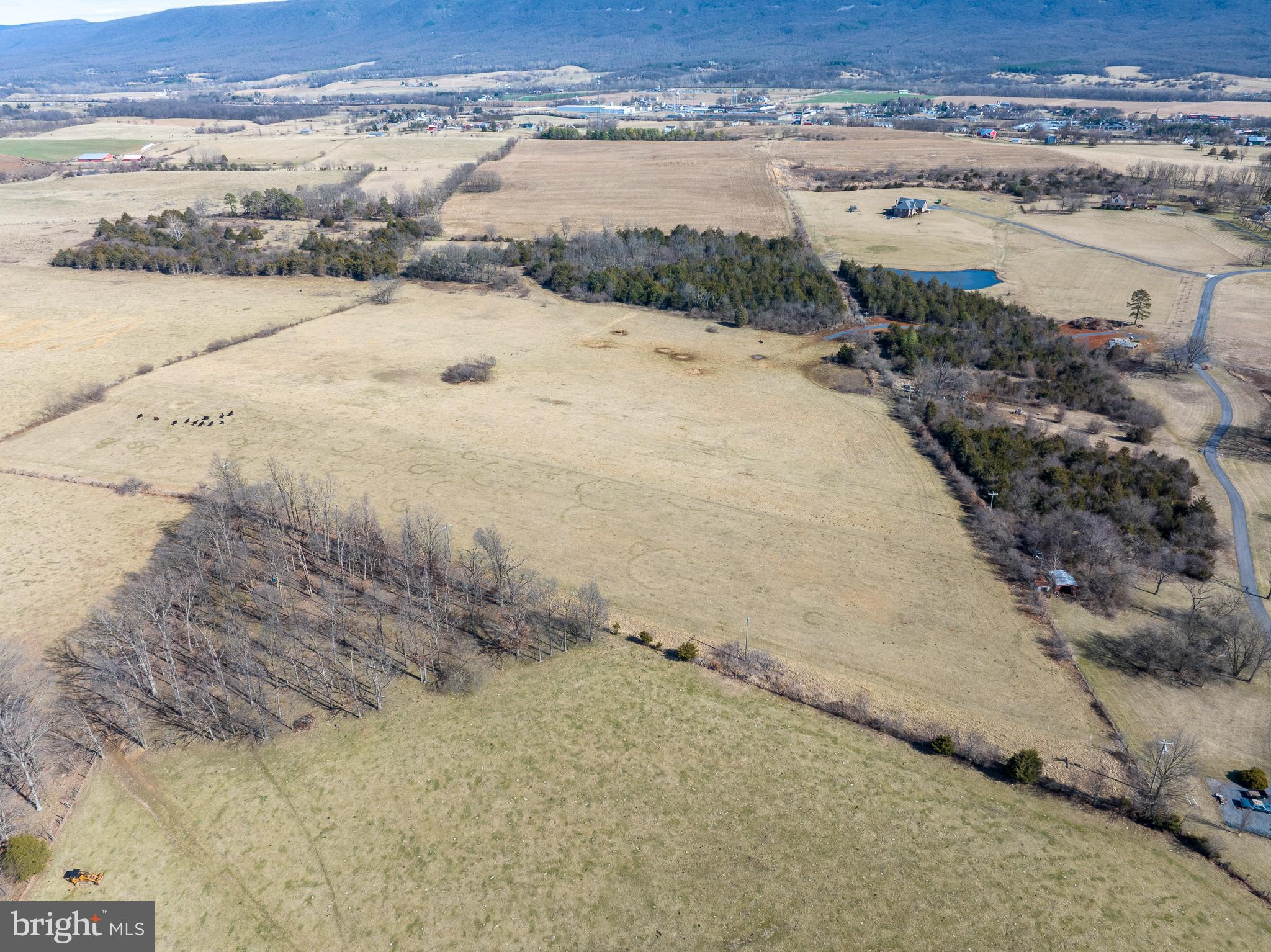 Tisinger Rd Mount Mount Jackson, VA 22842 - Photo 1 of 40 a view of beach and ocean