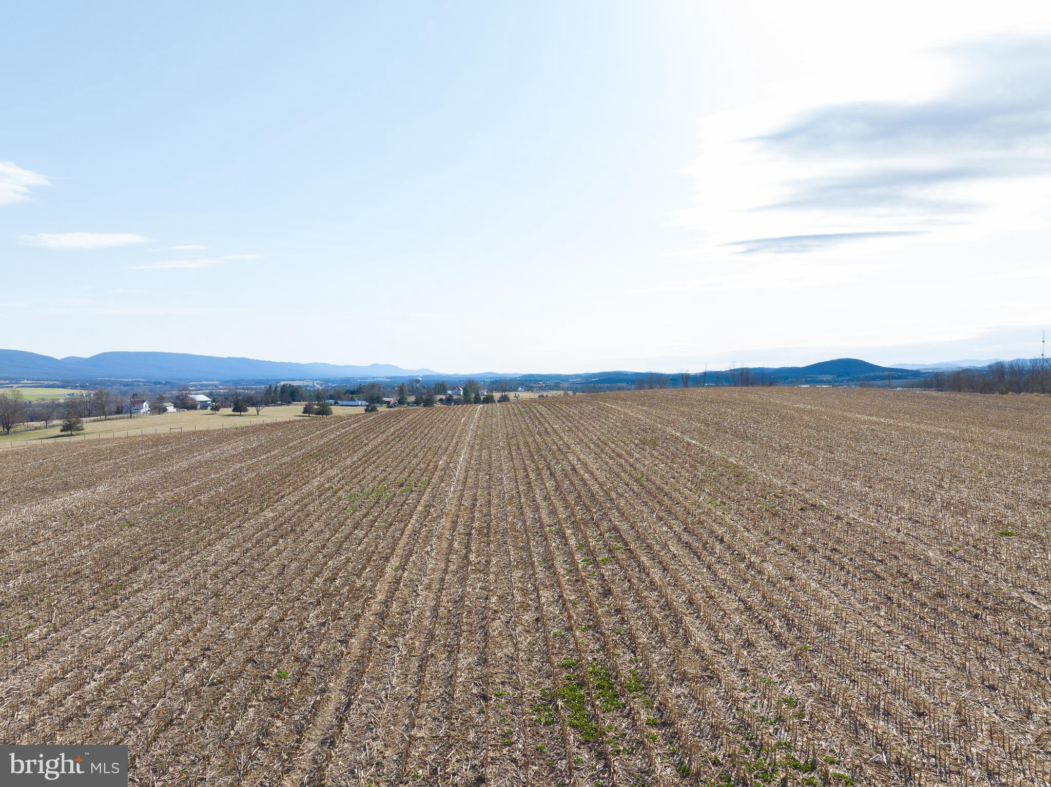 Tisinger Rd Mount Mount Jackson, VA 22842 - Photo 20 of 40 a view of an ocean