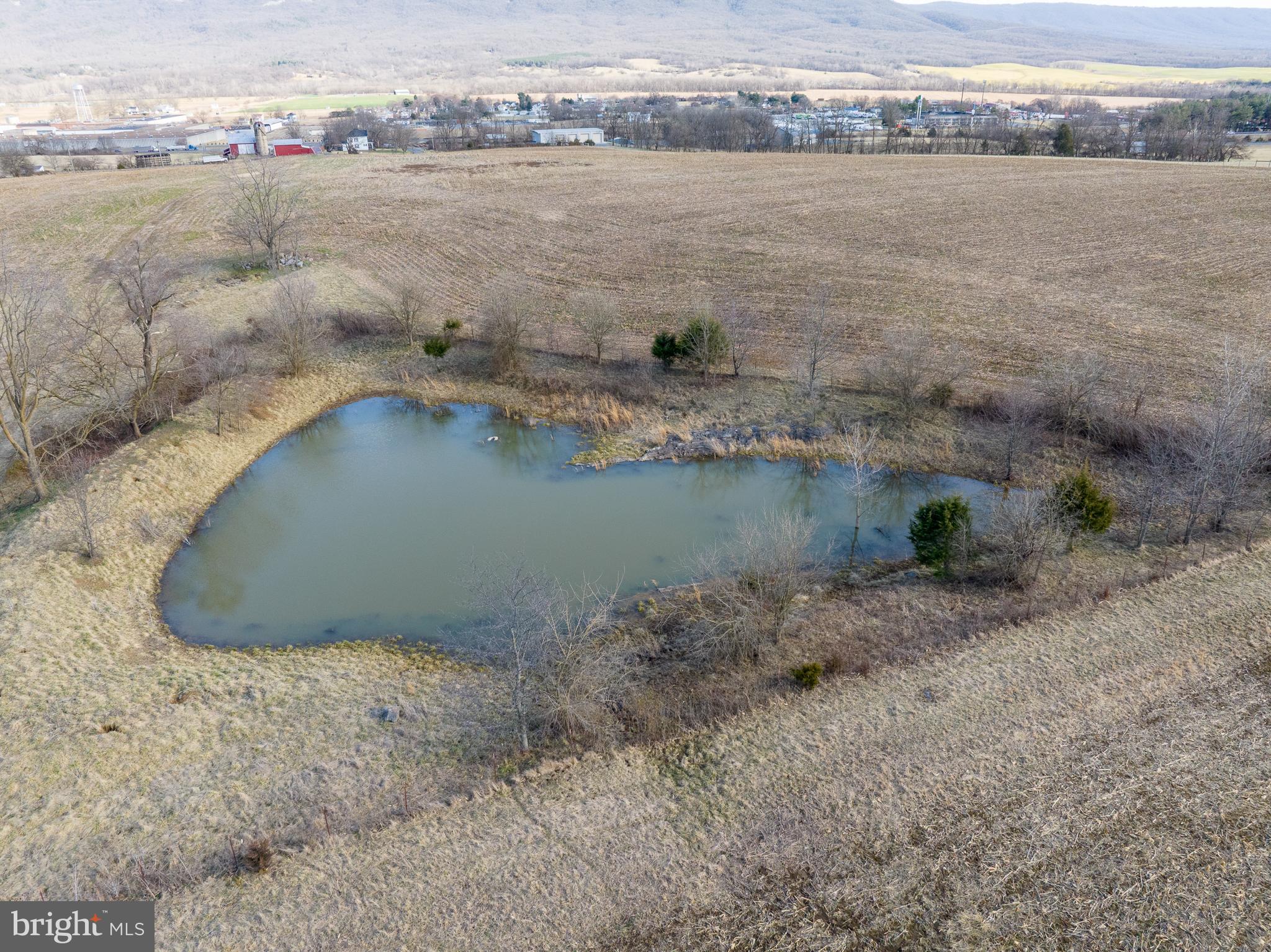 Tisinger Rd Mount Mount Jackson, VA 22842 - Photo 23 of 40 a view of outdoor space and lake view