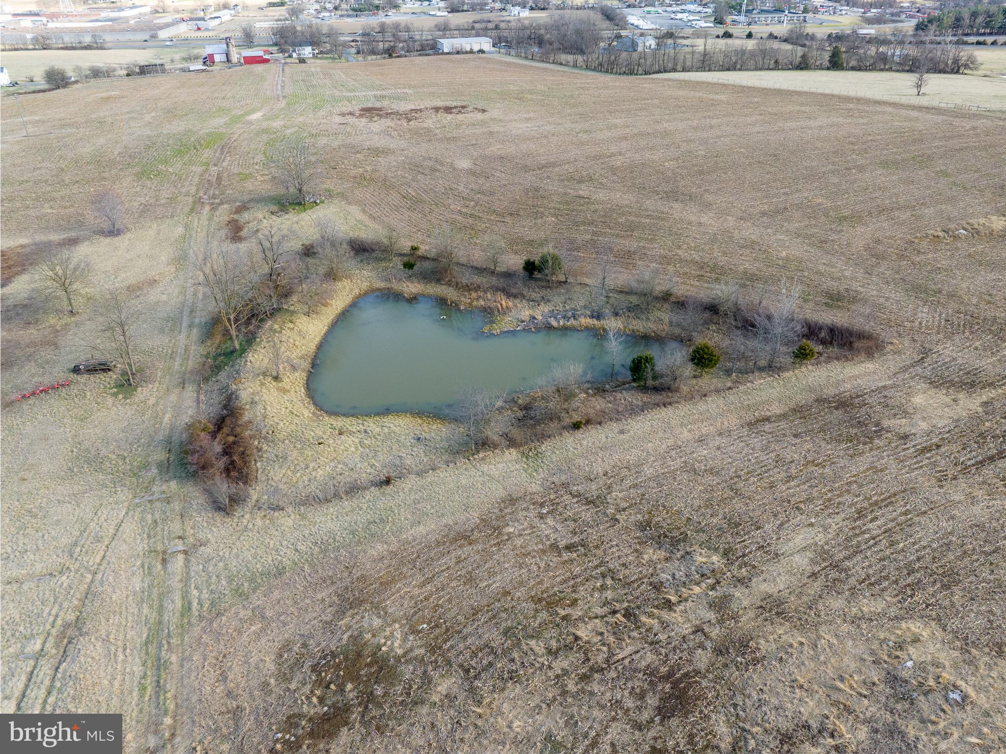 Tisinger Rd Mount Mount Jackson, VA 22842 - Photo 24 of 40 a view of a lake view
