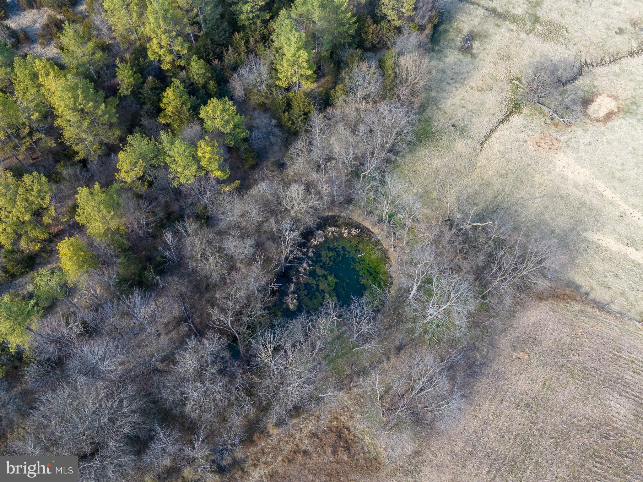 Tisinger Rd Mount Mount Jackson, VA 22842 - Photo 26 of 40 a view of a dry field with lots of trees