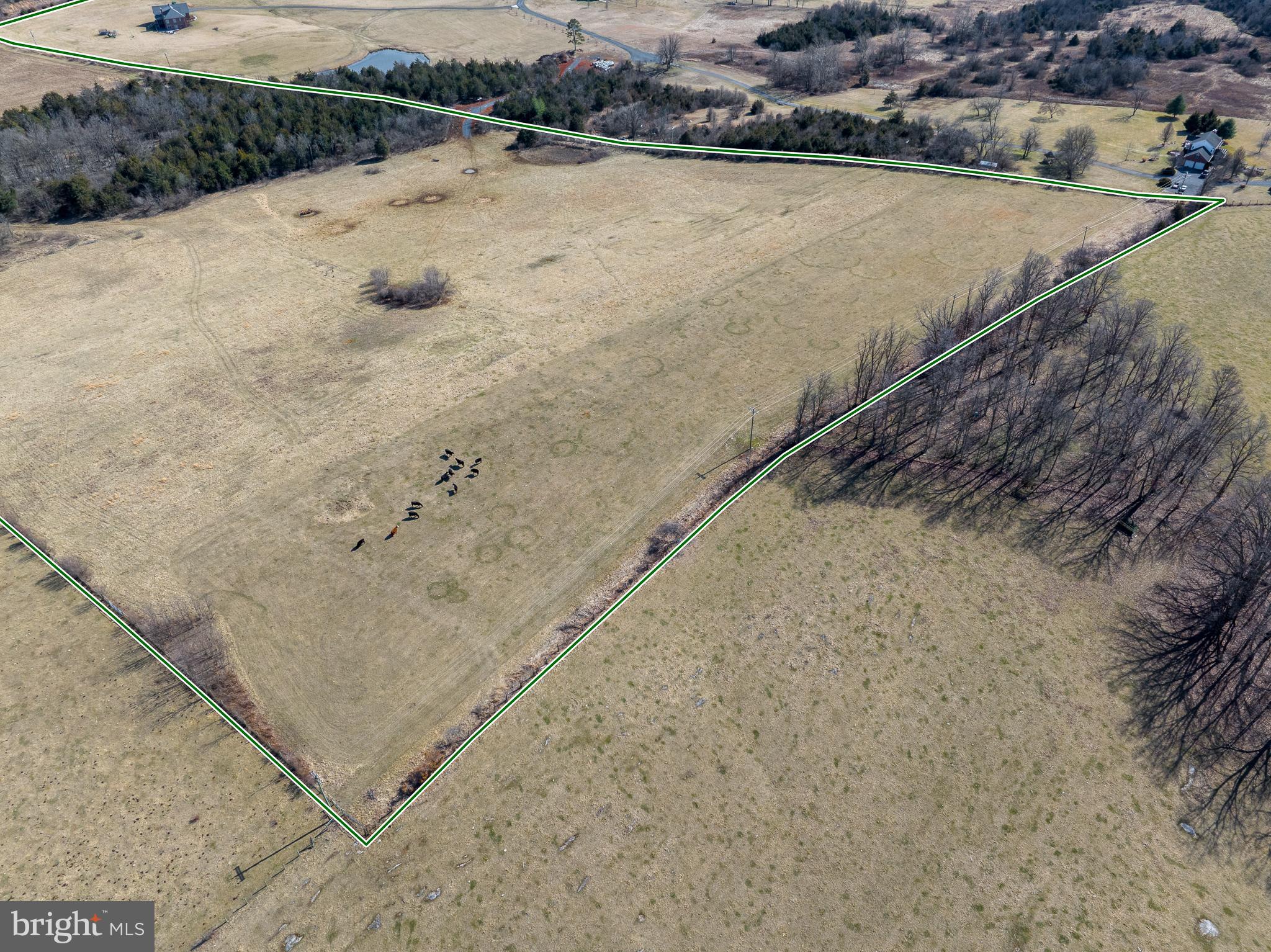 Tisinger Rd Mount Mount Jackson, VA 22842 - Photo 6 of 40 a view of a dry yard with a wooden fence