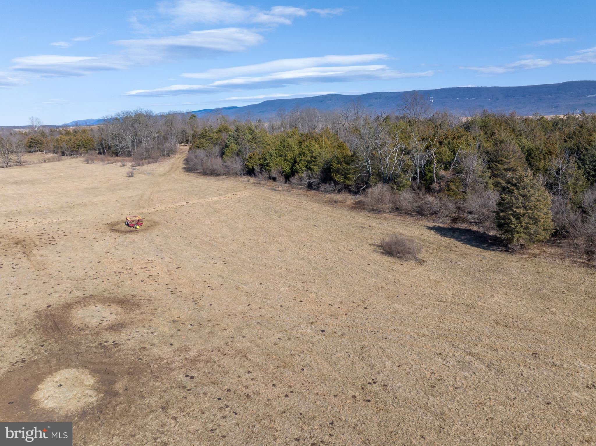 Tisinger Rd Mount Mount Jackson, VA 22842 - Photo 8 of 40 a view of a dry yard with mountains in the background